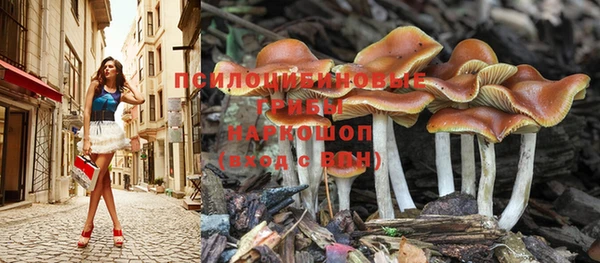 каннабис Богородицк