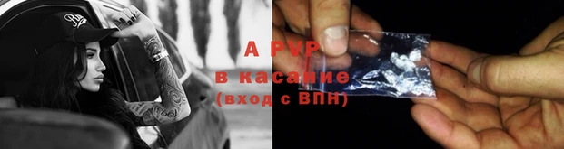крисы Богданович