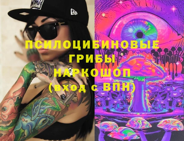 крисы Богданович