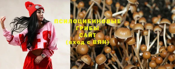 каннабис Богородицк