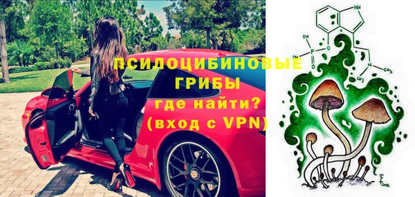 крисы Богданович
